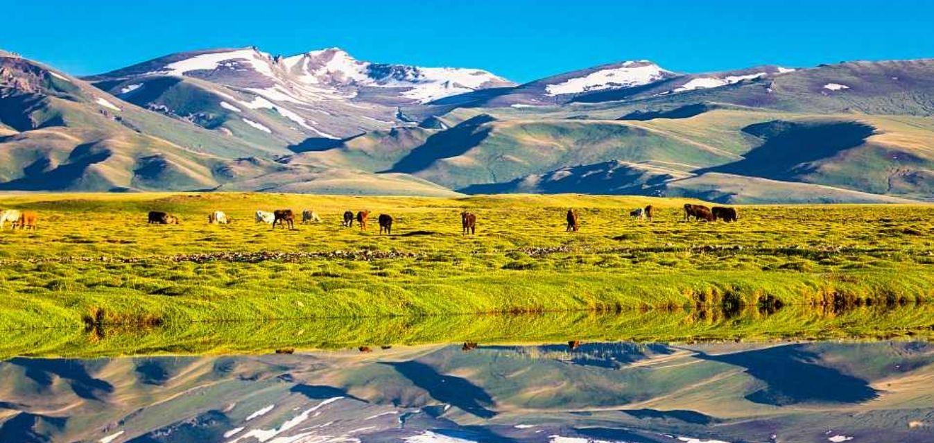 China Grasslands and Pastures