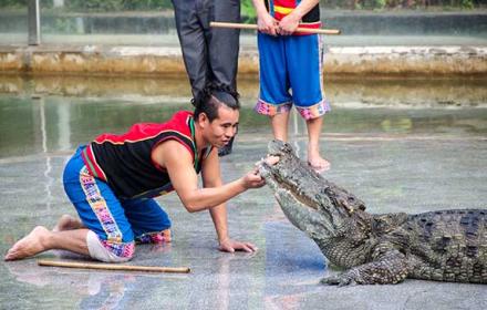 Guangzhou Zoo