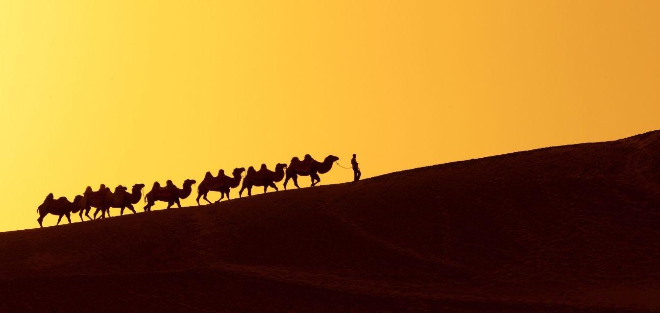 The Stories and The Enduring Art of The Silk Road