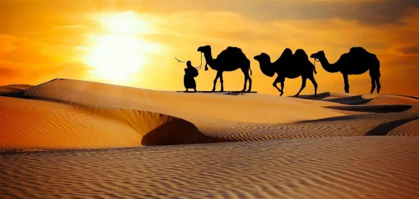 The Legacy of The Silk Road: A Diversity of Routes and Cargos