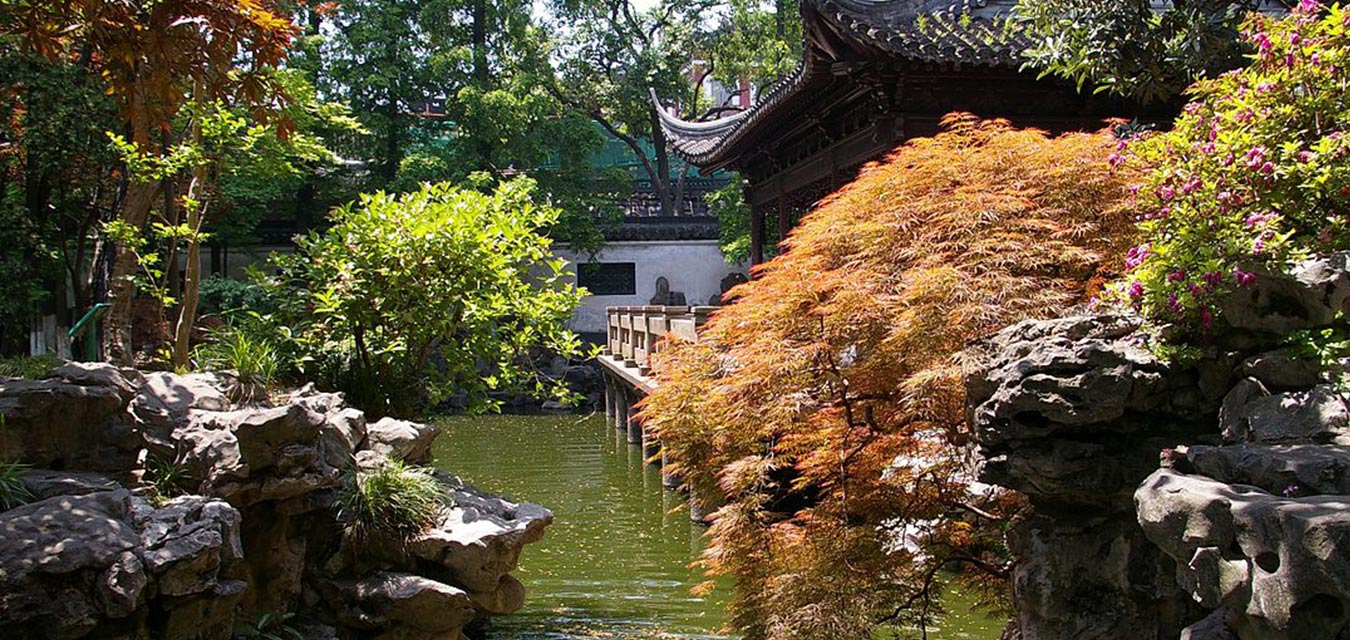 Admire The Nature In Yuyuan Garden