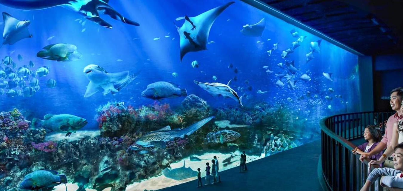 Ocean Aquarium shanghai